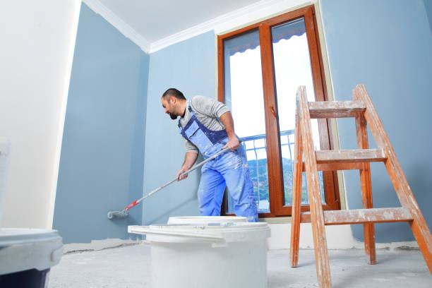 Reliable Richmond, MI Mold Removal Solutions