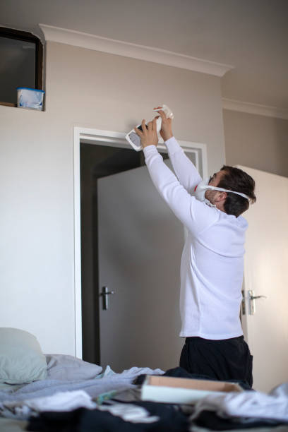 Best Basement Mold Removal  in Richmond, MI