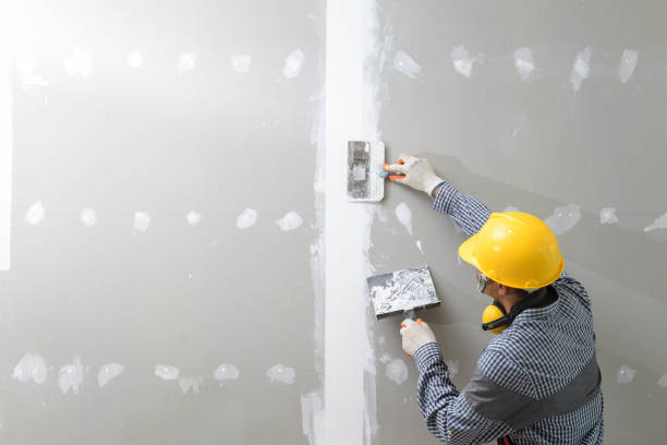 Best Emergency Mold Remediation  in Richmond, MI