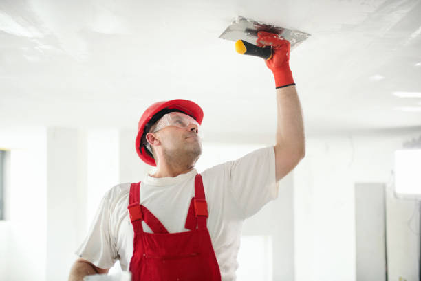 Mold Remediation for Rental Properties in Richmond, MI