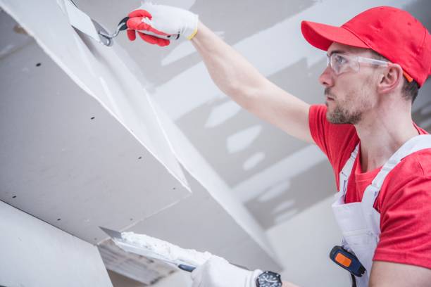 Best Post-Construction Mold Inspection  in Richmond, MI